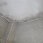 160318-bathroom-mould
